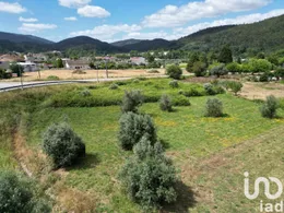 Terreno em Miranda do Corvo