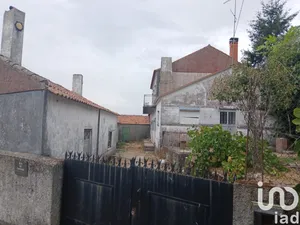 Domain at João Antão