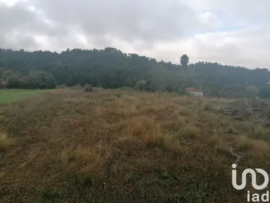 Terrain  à Mafra