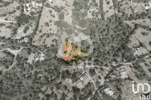 Farm land  at Santa Bárbara de Nexe