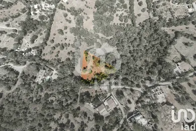 Farm land at Santa Bárbara de Nexe