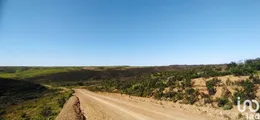 Terreno  em Vila do Bispo e Raposeira