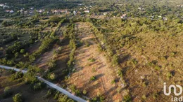Terreno em Chãos