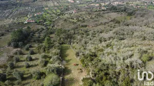 Terrain  à Chãos