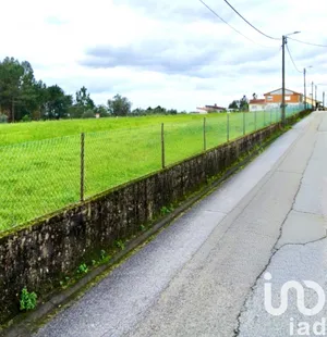 Land  in Macinhata do Vouga
