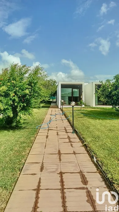 Casa/Moradia  em Válega