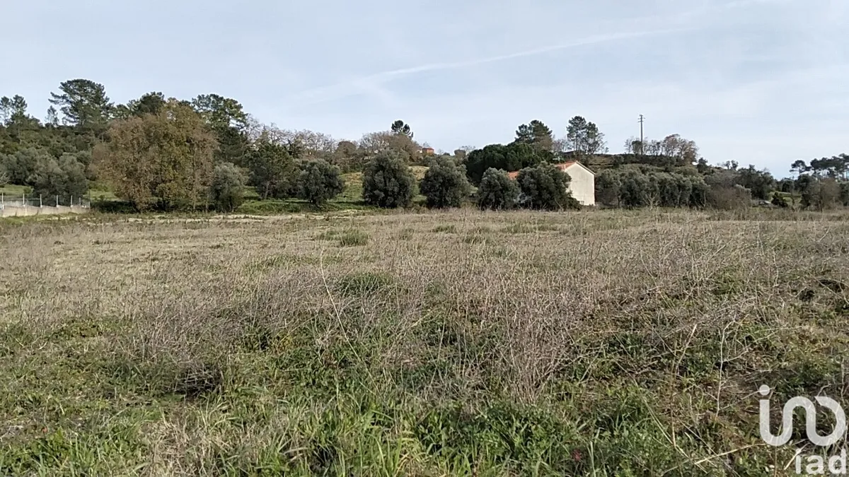 Terreno de 13 080 m² em Tomar (São João Baptista) e Santa Maria dos Olivais