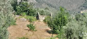 Land  at Seixo da Beira