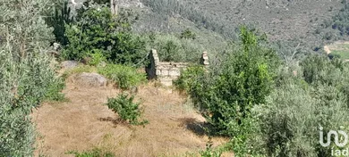 Terreno em Seixo da Beira
