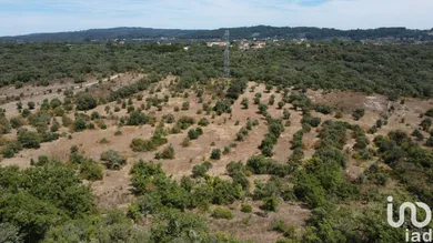 Land  in Areias e Pias