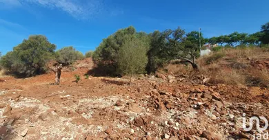 Terreno  em São Bartolomeu de Messines