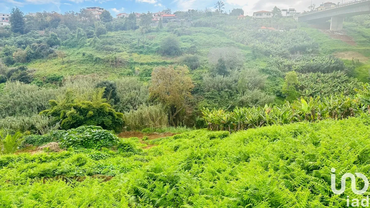 Terreno de 1778 m² em Santo António