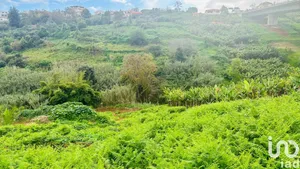 Terreno em Santo António