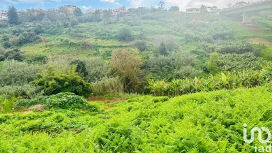 Land in Santo António