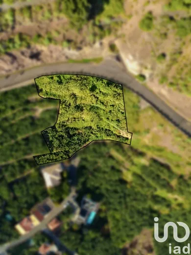 Land  in Arco da Calheta