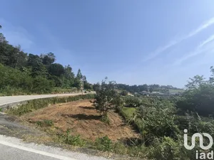 Terrain à São Cipriano e Vil de Souto