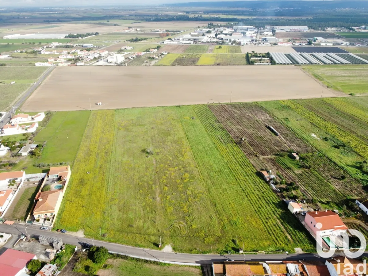 Terreno de 6080 m² em Alpiarça