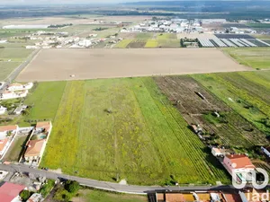 Land  at Alpiarça
