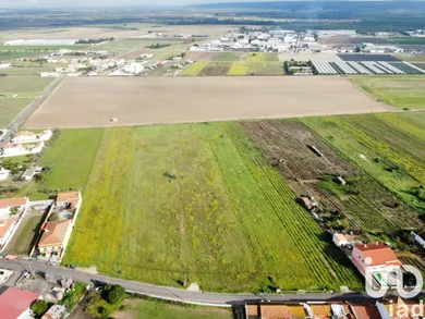 Land  at Alpiarça