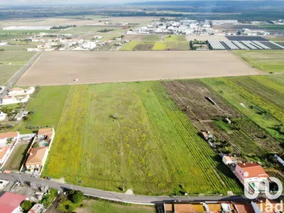 Fotografia 9 de Terreno rústico de 1500 m² em Alpiarça