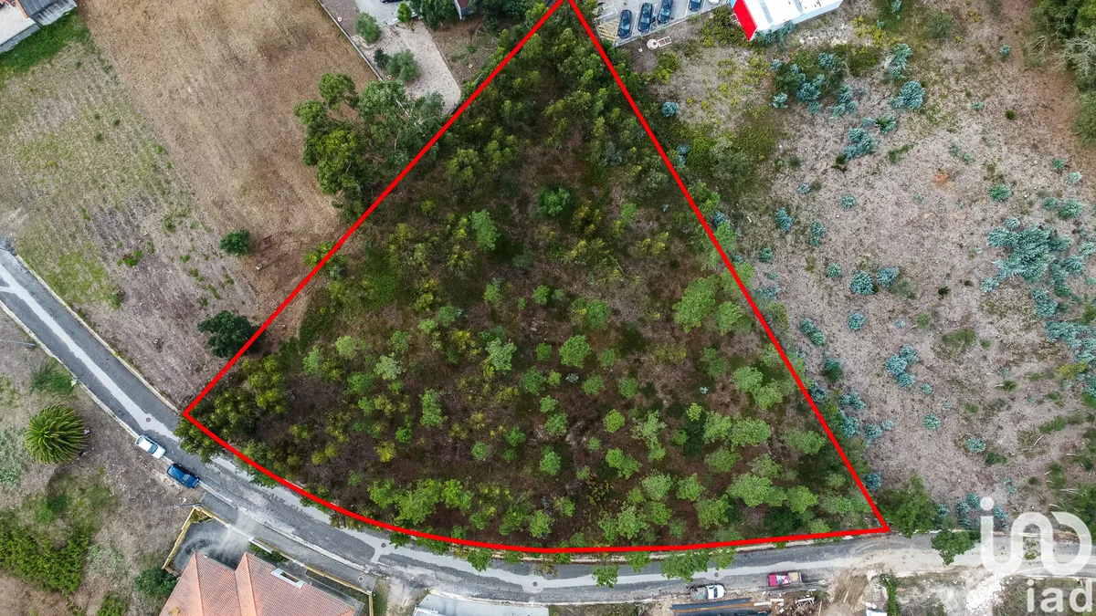 Terreno urbano de 4547 m² em Marinha Grande