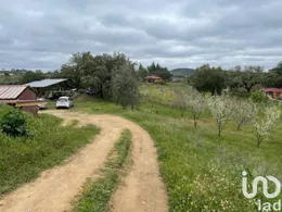 Farm in São Martinho das Amoreiras