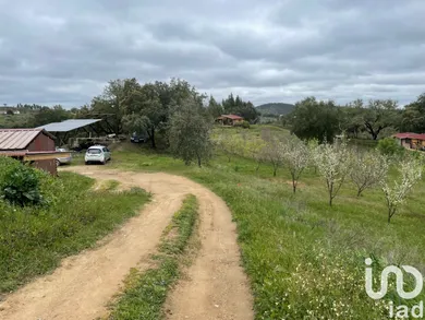 Ferme  à São Martinho das Amoreiras