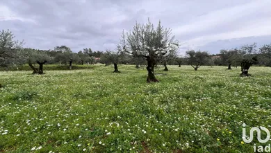 Terreno urbano  em Podentes