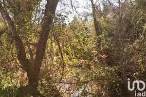 Terreno  em Freixianda, Ribeira do Fárrio e Formigais