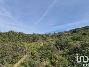 Land  in Santa Bárbara de Nexe