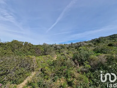 Terreno  em Santa Bárbara de Nexe