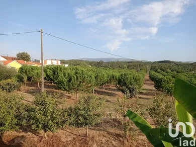 Terrain à batir  à Cadaval e Pêro Moniz