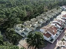 Land in Alvito (São Pedro E São Martinho) E Couto