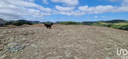 Land  in Mafra