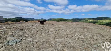 Land  in Mafra