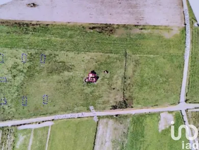 Terreno em Alpiarça