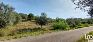 Terreno rústico  em Colmeias e Memória