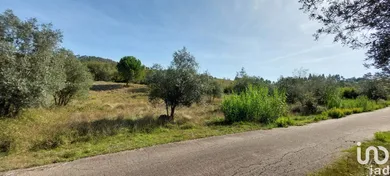 Terreno rústico em Colmeias e Memória