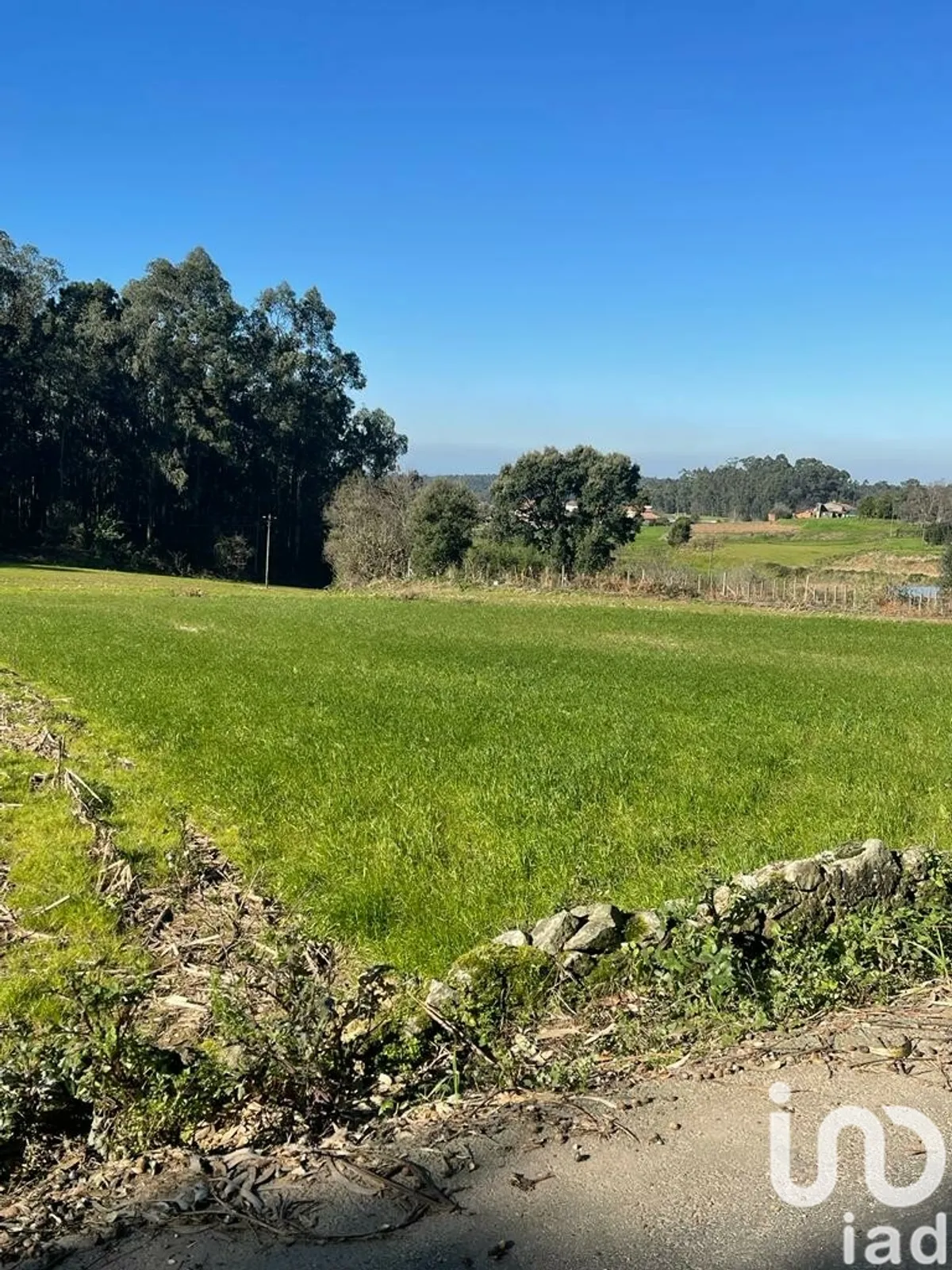 Terreno de 1770 m² em São Martinho da Gândara