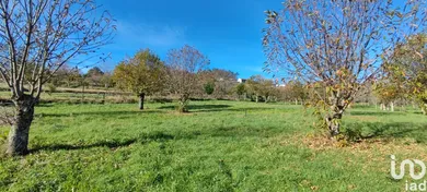 Terrain  à Mões