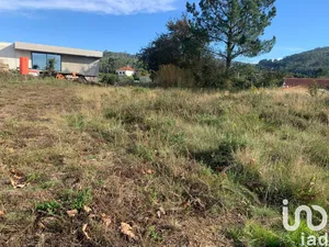 Terreno  em Mujães