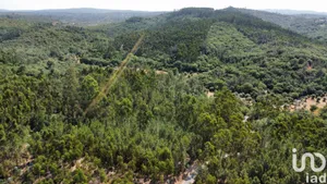 Terrain  à Chãos