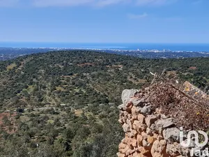 House  at Loulé (São Sebastião)