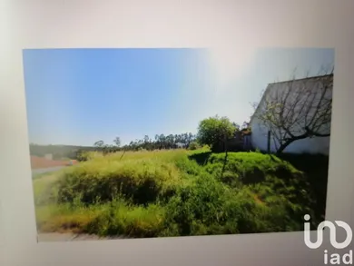 Terreno  em Carriço