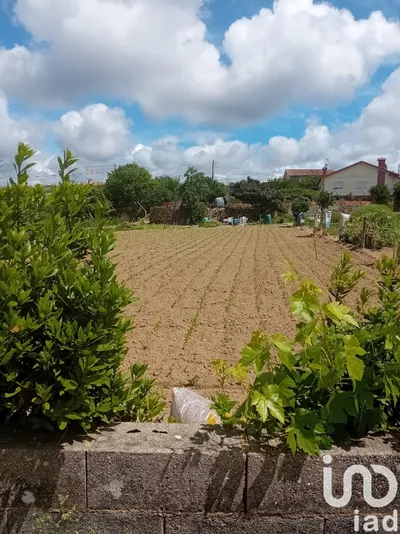 Fotografia 8 de Terreno urbano de 569 m² em Vale de Cambra