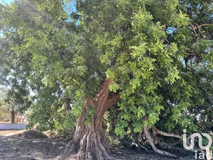 Land  at Luz de Tavira e Santo Estêvão