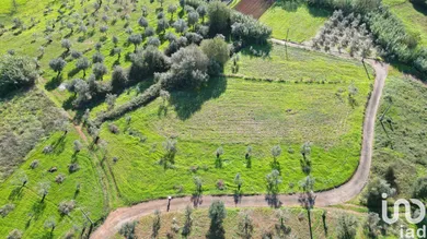 Terrain agricole   à Podentes