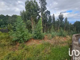 Terreno  em Gaula