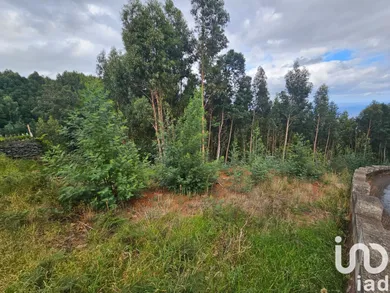 Land in Gaula