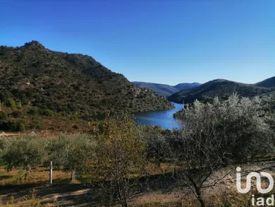 Land at Freixo de Espada à Cinta e Mazouco